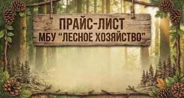 Прайс-лист услуг