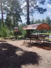 В Барнауле на территории городских лесов обустроены зоны отдых